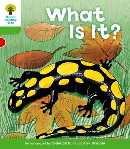 Oxford Reading Tree: Stage 2: More Patterned Stories A: What Is It?