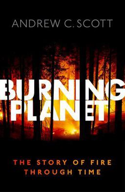 Burning Planet The Story of Fire Through Time  9780198734840 Front Cover
