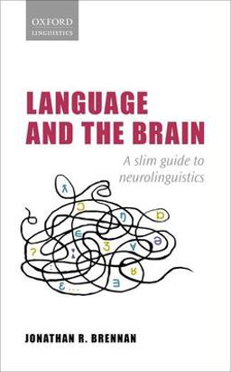 Language and the Brain A Slim Guide to Neurolinguistics  9780198814764 Front Cover