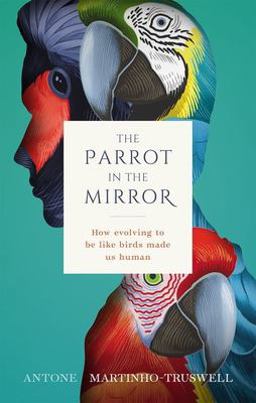 Parrot in the Mirror How Evolving to Be Like Birds Makes Us Human  9780198846109 Front Cover