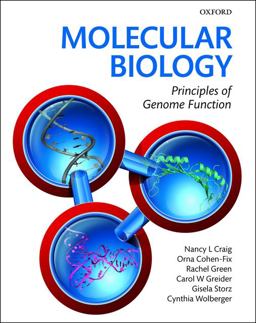 Molecular Biology