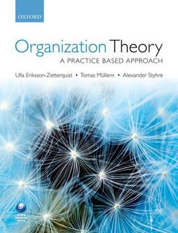Organization Theory A Practice Based Approach  9780199569304 Front Cover