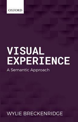 Visual Experience A Semantic Approach  9780199600465 Front Cover