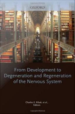 From Development to Degeneration and Regeneration of the Nervous System