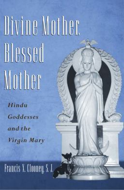 Divine Mother, Blessed Mother Hindu Goddesses and the Virgin Mary  9780199738731 Front Cover