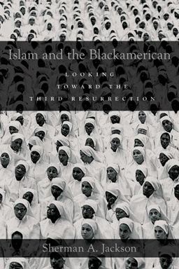 Islam and the Blackamerican Looking Toward the Third Resurrection  9780199782383 Front Cover