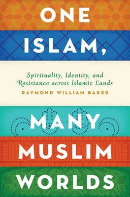 One Islam, Many Muslim Worlds: Spirituality, Identity, and Resistance Across Islamic Lands  9780199846474 Front Cover