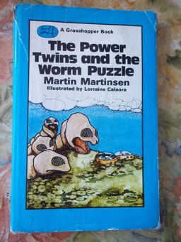 The Power Twins and the Worm Puzzle