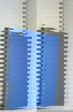 Handbook of Social Psychology