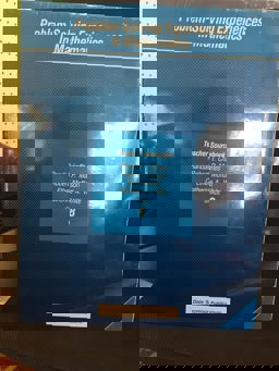 Problem-Solving Experience in Mathematics