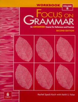 Focus on Grammar