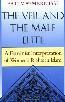 Veil and the Male Elite A Feminist Interpretation of Women's Rights in Islam  9780201632217 Front Cover