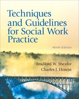 Techniques and Guidelines for Social Work Practice 9th 9780205042470 Front Cover