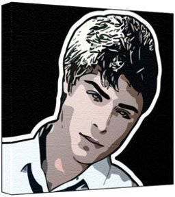 The Allyn & Bacon Guide to Writing, Brief Edition