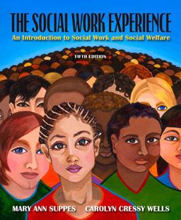 Social Work Experience An Introduction to Social Work and Social Welfare 5th 9780205569397 Front Cover