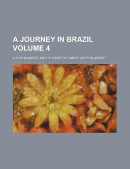 A Journey in Brazil