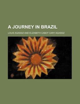 A Journey in Brazil