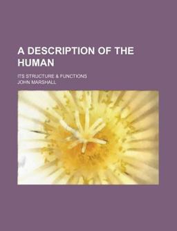 A Description of the Human