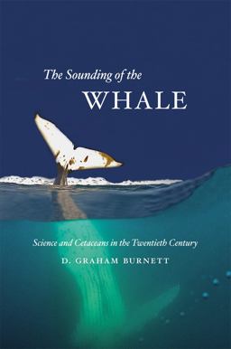 Sounding of the Whale Science and Cetaceans in the Twentieth Century  9780226081304 Front Cover