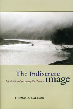 The Indiscrete Image The Indiscrete Image