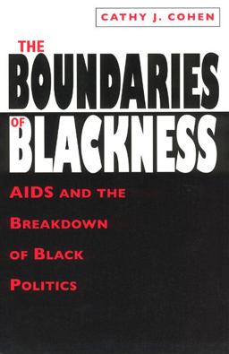 Boundaries of Blackness AIDS and the Breakdown of Black Politics  9780226112893 Front Cover
