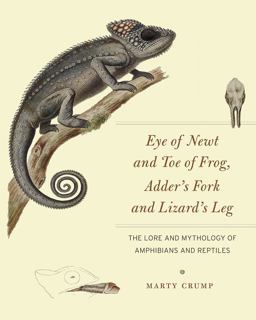 Eye of Newt and Toe of Frog, Adder's Fork and Lizard's Leg The Lore and Mythology of Amphibians and Reptiles  9780226116006 Front Cover