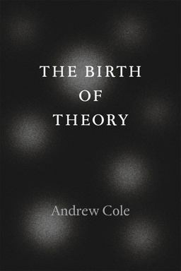 Birth of Theory  9780226135427 Front Cover