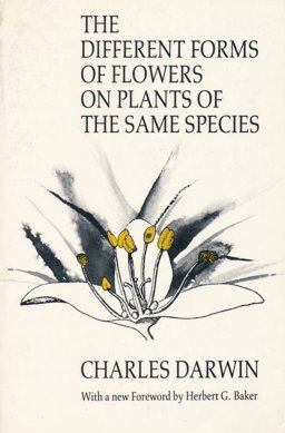 The Different Forms of Flowers on Plants of the Same Species