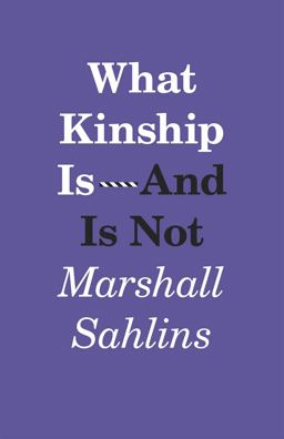 What Kinship Is-And Is Not  9780226214290 Front Cover