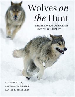 Wolves on the Hunt The Behavior of Wolves Hunting Wild Prey  9780226255149 Front Cover