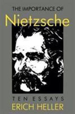 The Importance of Nietzsche