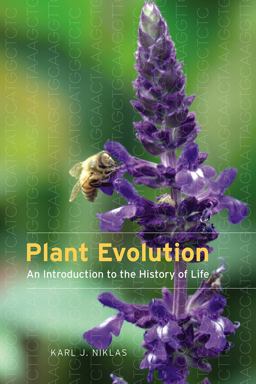Plant Evolution An Introduction to the History of Life  9780226342146 Front Cover