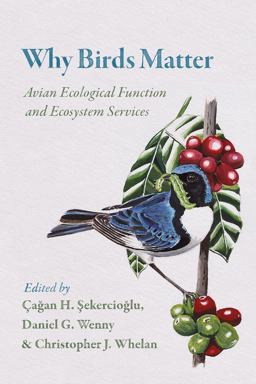 Why Birds Matter Avian Ecological Function and Ecosystem Services  9780226382630 Front Cover