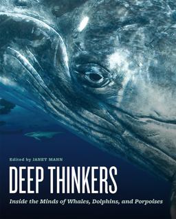 Deep Thinkers Inside the Minds of Whales, Dolphins, and Porpoises  9780226387475 Front Cover