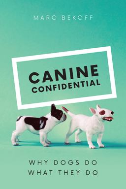 Canine Confidential Why Dogs Do What They Do  9780226433035 Front Cover