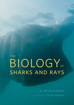 Biology of Sharks and Rays  9780226442495 Front Cover