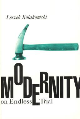 Modernity on Endless Trial  9780226450469 Front Cover