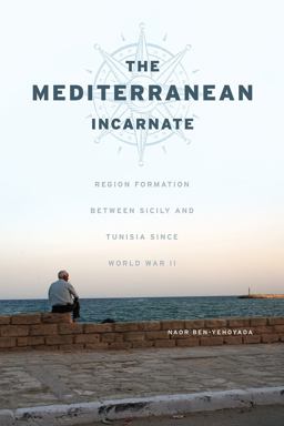 Mediterranean Incarnate Region Formation Between Sicily and Tunisia since World War II  9780226451022 Front Cover