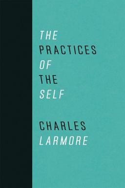 Practices of the Self  9780226468877 Front Cover
