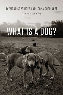 What Is a Dog? What Is a Dog?