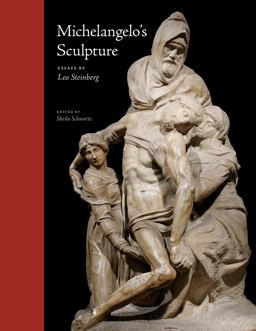 Michelangelo's Sculpture Selected Essays  9780226482576 Front Cover