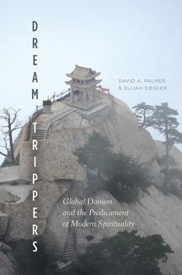 Dream Trippers Global Daoism and the Predicament of Modern Spirituality  9780226484846 Front Cover