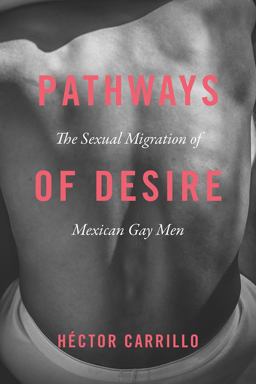 Pathways of Desire The Sexual Migration of Mexican Gay Men  9780226508177 Front Cover