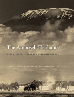 Amboseli Elephants A Long-Term Perspective on a Long-Lived Mammal  9780226542232 Front Cover