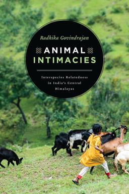 Animal Intimacies Interspecies Relatedness in India's Central Himalayas  9780226559988 Front Cover