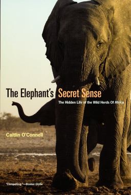 Elephant's Secret Sense The Hidden Life of the Wild Herds of Africa  9780226616742 Front Cover