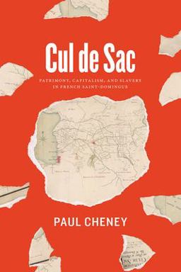 Cul De Sac: Patrimony, Capitalism, and Slavery in French Saint-domingue 1st 9780226679259 Front Cover