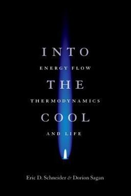 Into the Cool Energy Flow, Thermodynamics, and Life  9780226739373 Front Cover