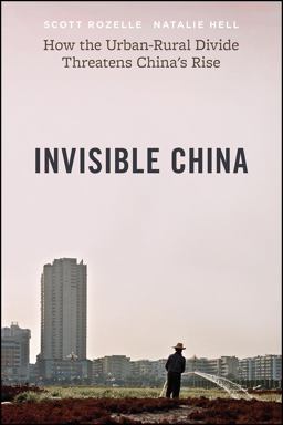 Invisible China How the Urban-Rural Divide Threatens China's Rise  9780226739526 Front Cover
