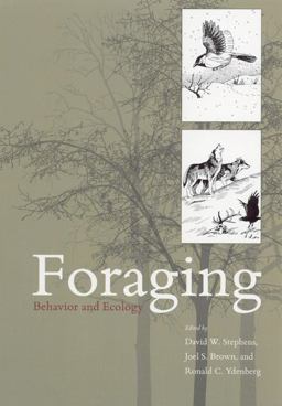 Foraging Behavior and Ecology  9780226772646 Front Cover